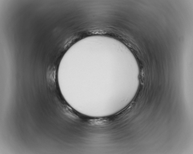 X0000108480652200905011203