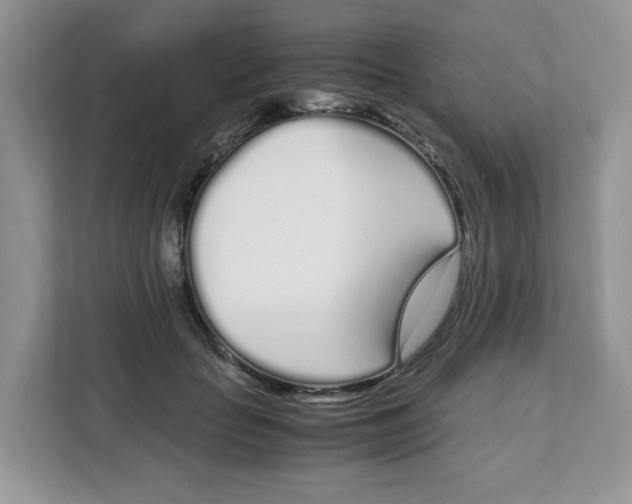 X0000108480653200905011203
