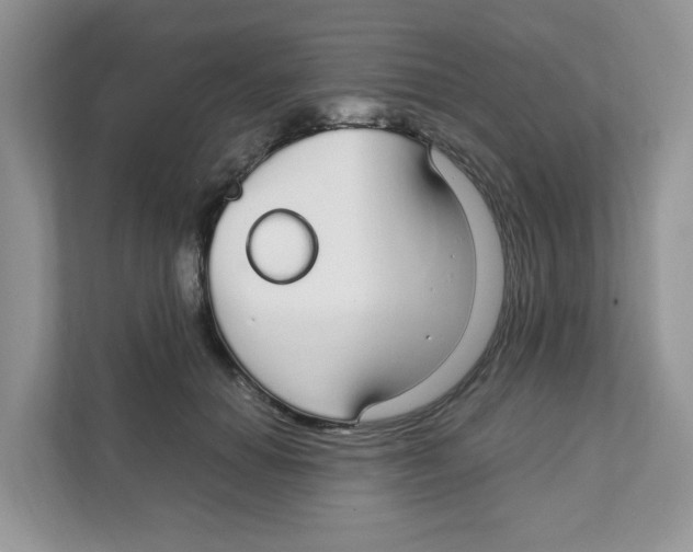 X0000108480654200905011203
