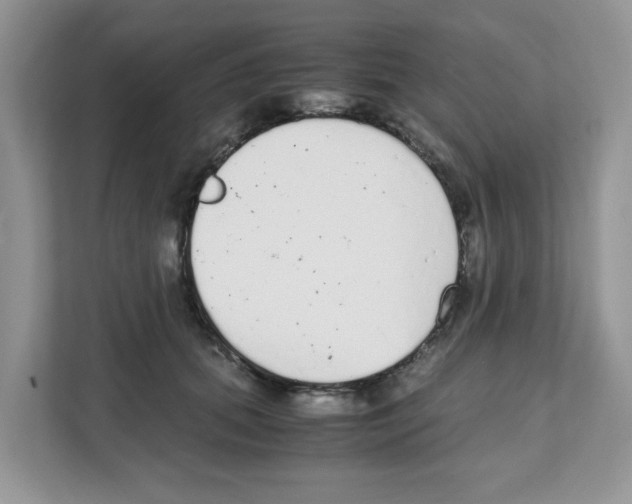 X0000108480655200905011203