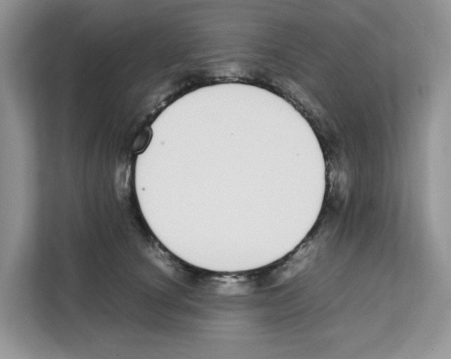 X0000108480660200905011203