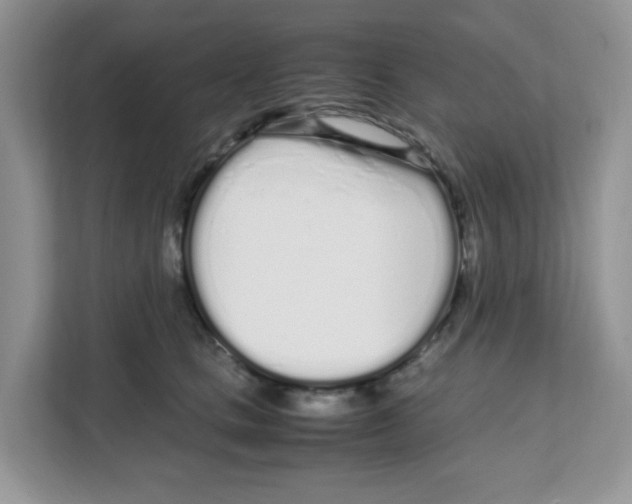 X0000108480661200905011203