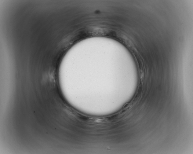 X0000108480663200905011203