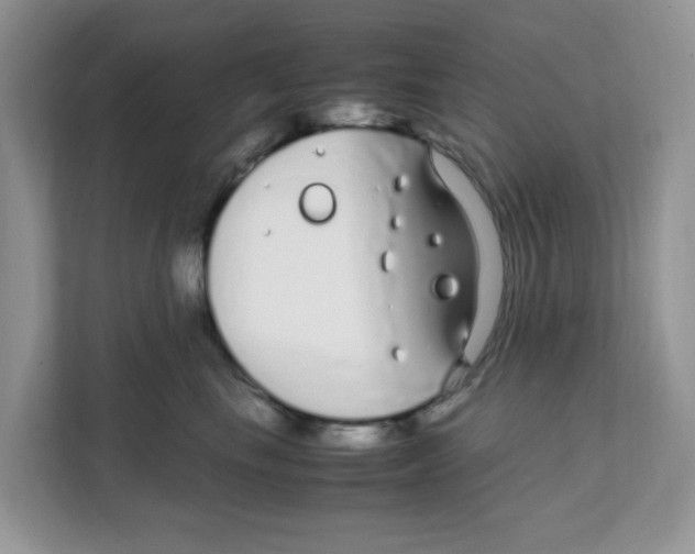 X0000108480665200905011203
