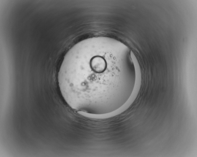 X0000108480667200905011203