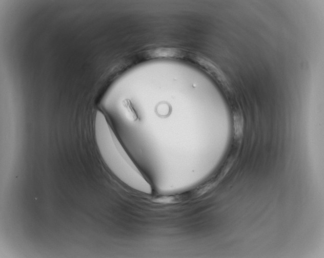 X0000108480669200905011203