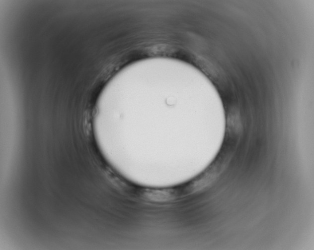 X0000108480671200905011203