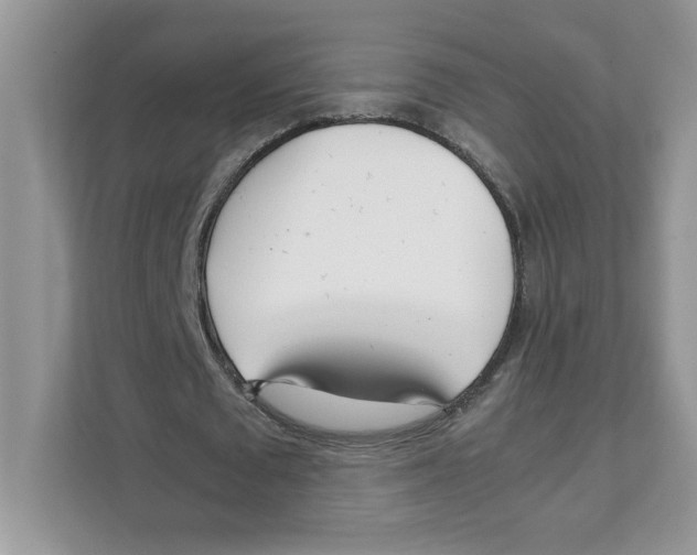 X0000108480673200905011202