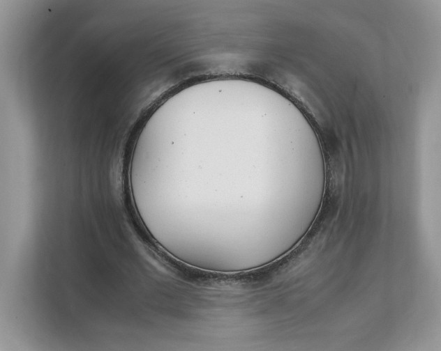 X0000108480677200905011202