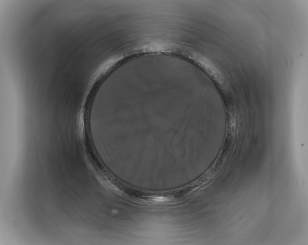 X0000108480678200905011202