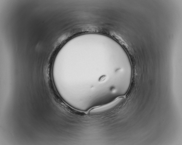 X0000108480679200905011202