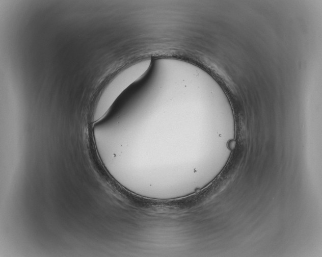 X0000108480681200905011202