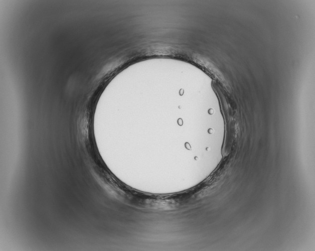 X0000108480683200905011202