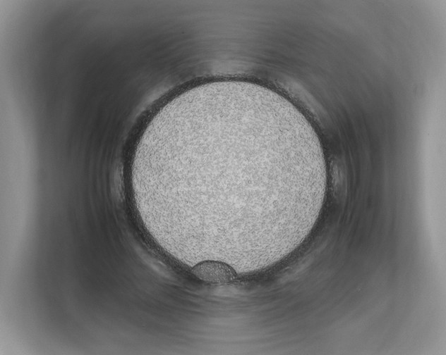 X0000108480684200905011202