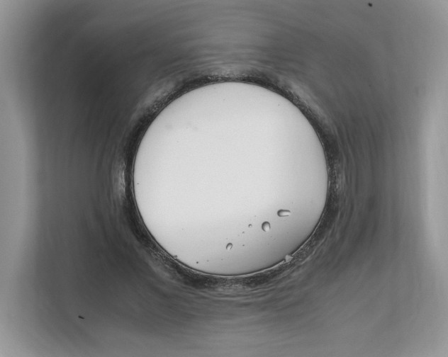 X0000108480685200905011202
