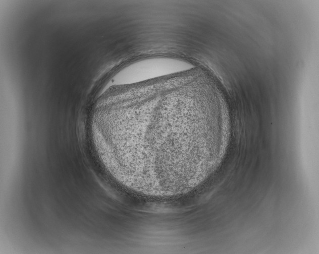 X0000108480688200905011202
