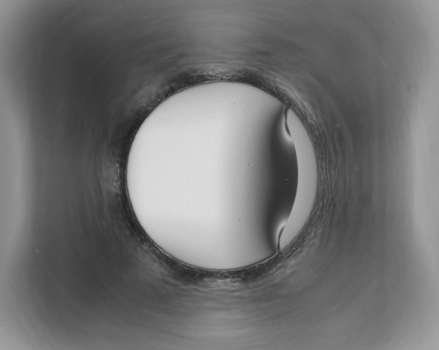 X0000108480689200905011202