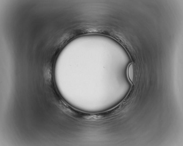 X0000108480691200905011202