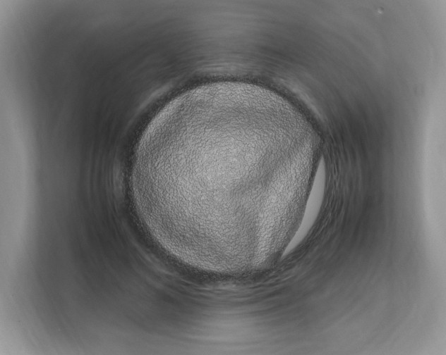 X0000108480692200905011202
