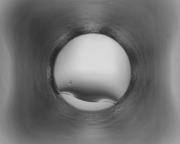 X0000108480693200905011202