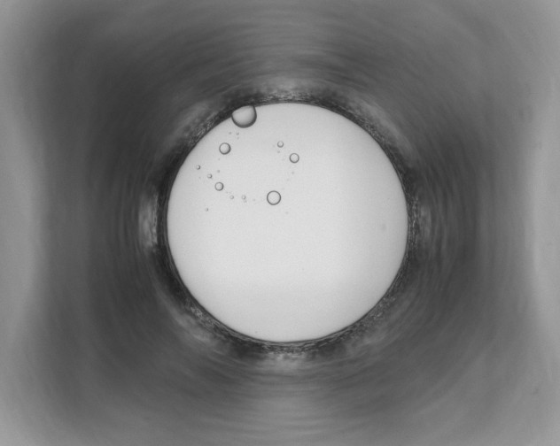 X0000108480694200905011202