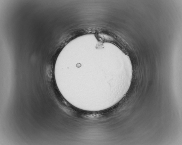 X0000108480695200905011202