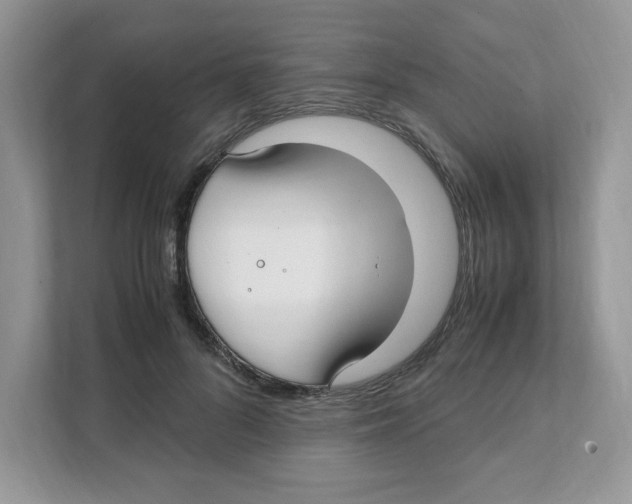 X0000108480696200905011202