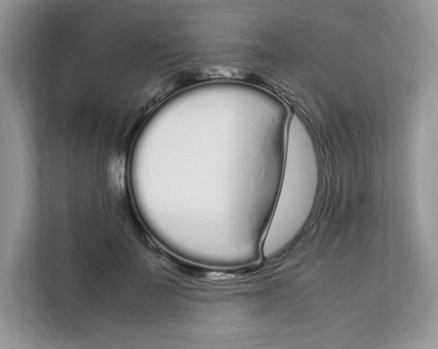 X0000108480699200905011202