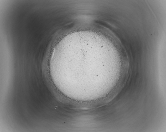 X0000108480701200905011202