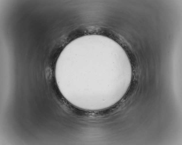 X0000108480703200905011202