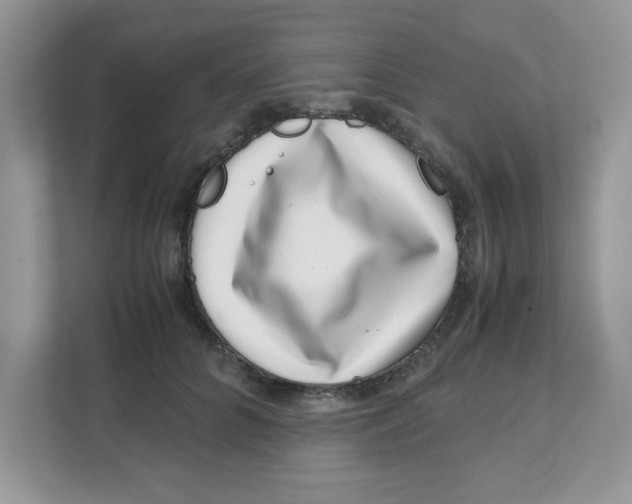 X0000108480704200905011202