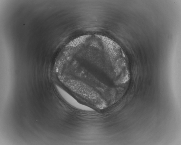 X0000108480708200905011202