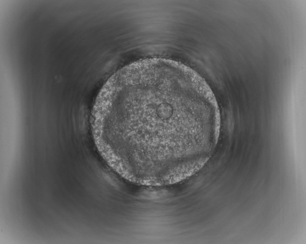 X0000108480712200905011202