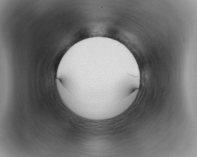 X0000108480714200905011202