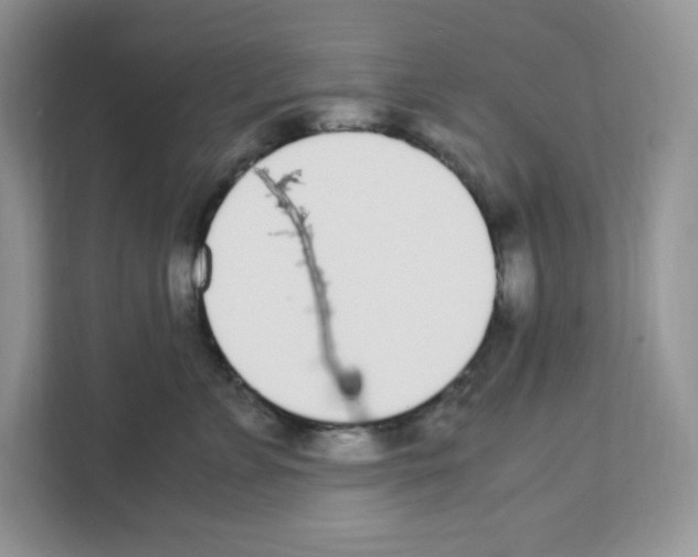X0000108480715200905011202