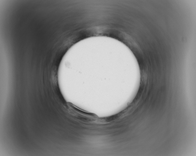 X0000108480719200905011202