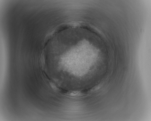 X0000108480720200905011202