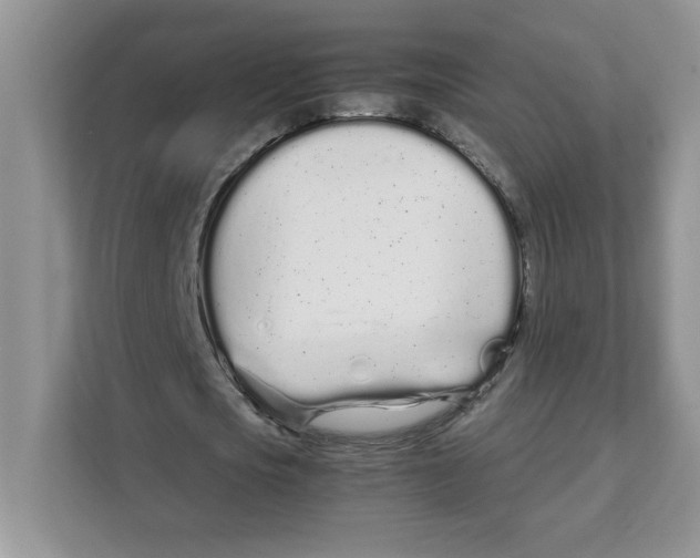 X0000108480721200905011201