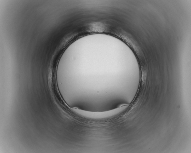 X0000108480722200905011201