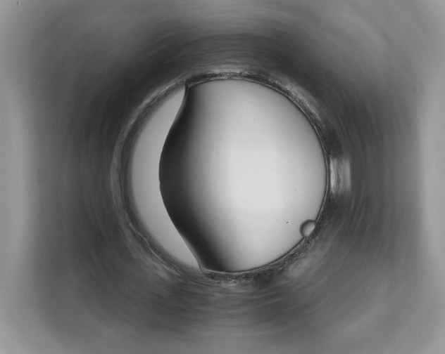 X0000108480723200905011201