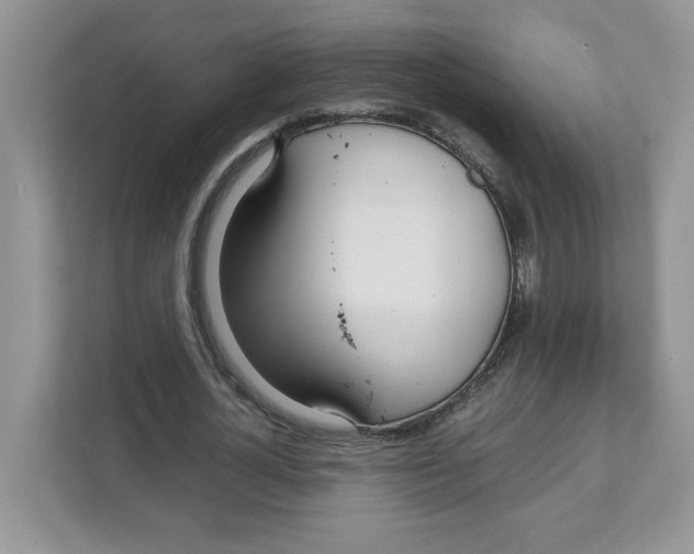 X0000108480724200905011201