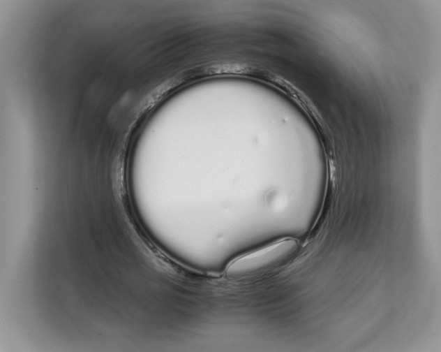 X0000108480725200905011201