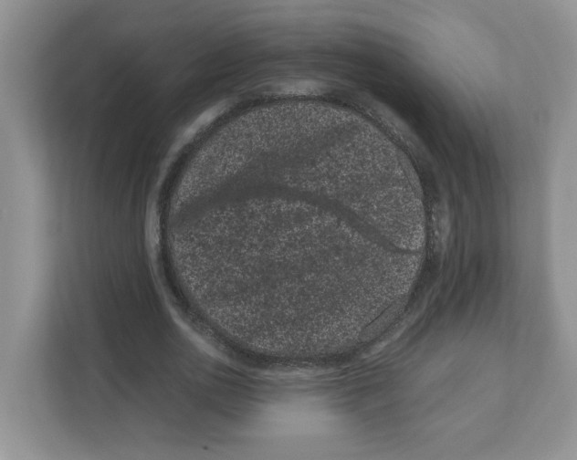 X0000108480726200905011201
