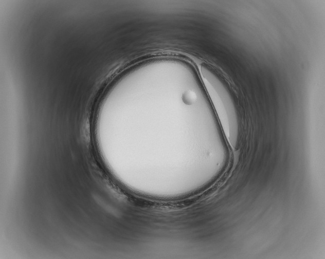 X0000108480729200905011201