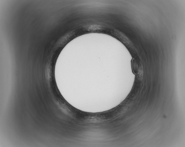 X0000108480732200905011201