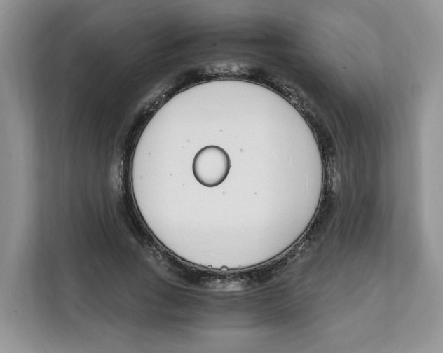 X0000108480735200905011201