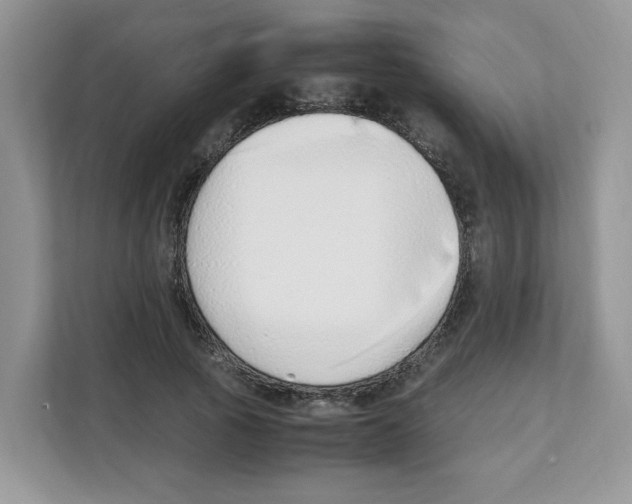 X0000108480737200905011201