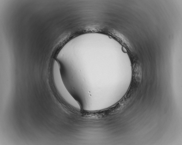 X0000108480738200905011201