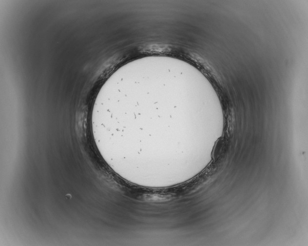 X0000108480739200905011201