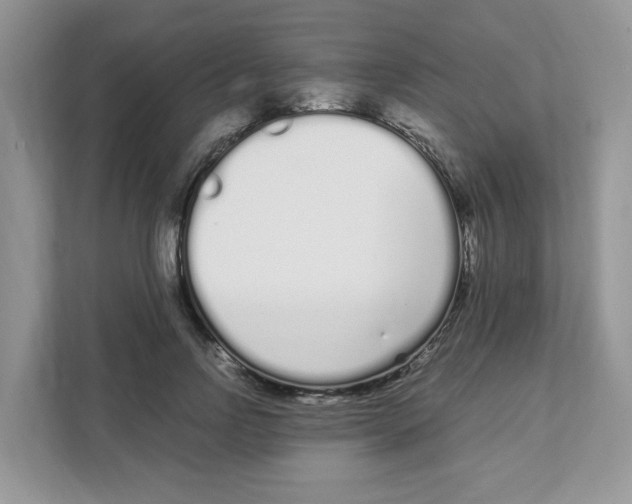 X0000108480742200905011201